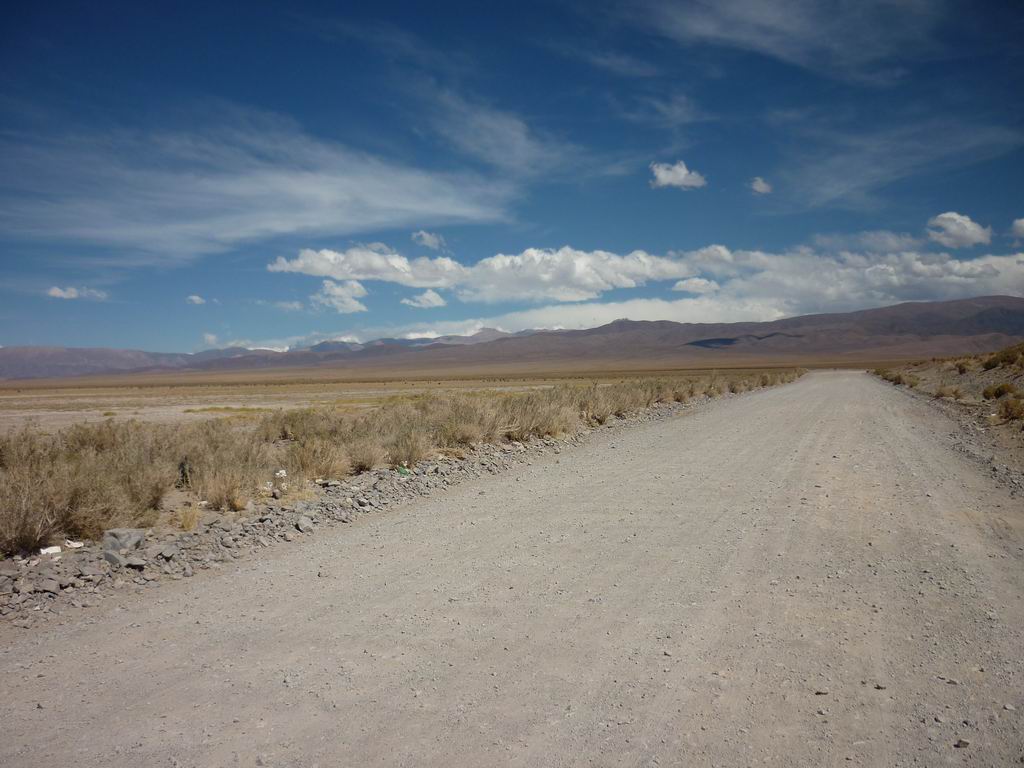argentine_867.jpg
