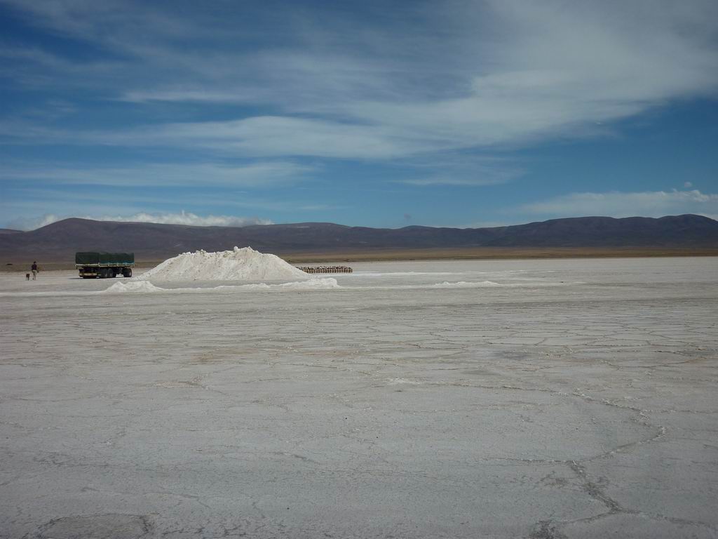 argentine_874.jpg