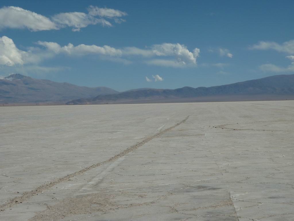 argentine_875.jpg