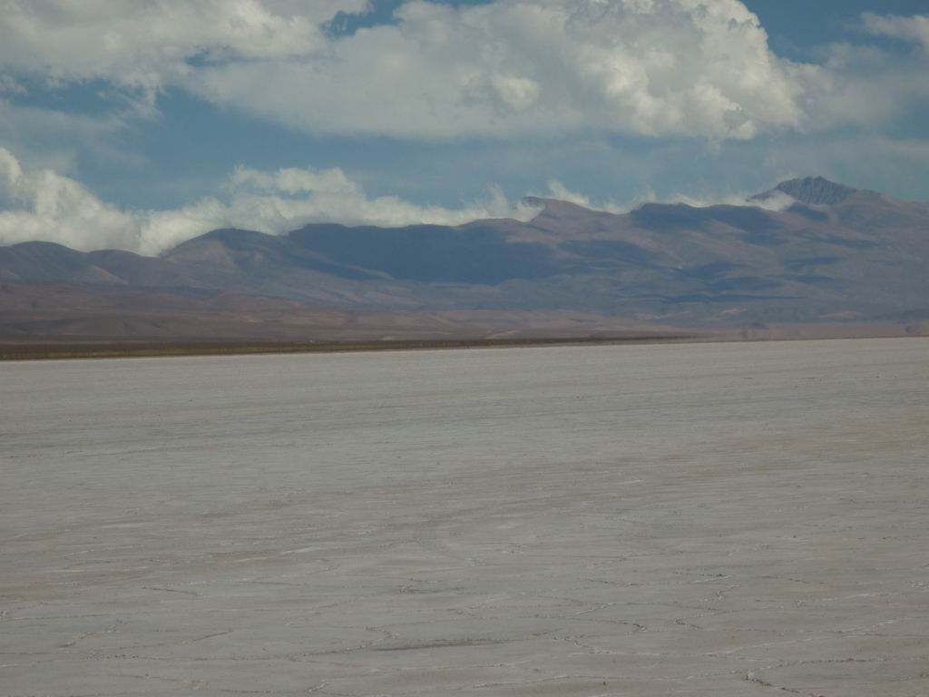 argentine_876.jpg