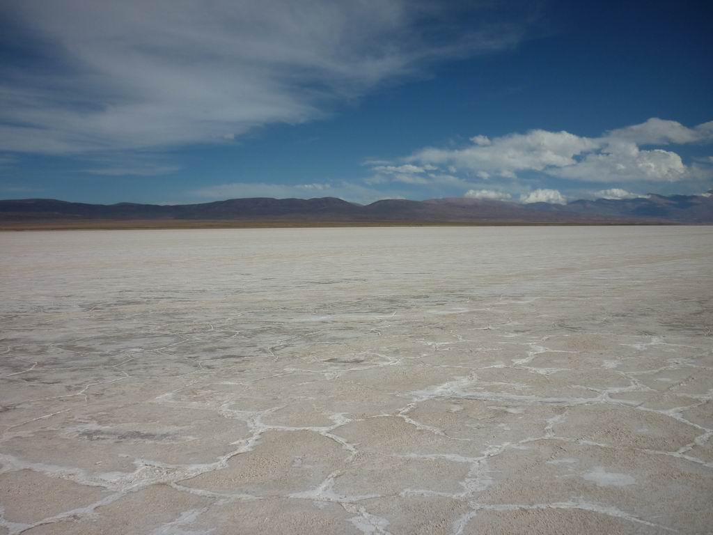 argentine_877.jpg