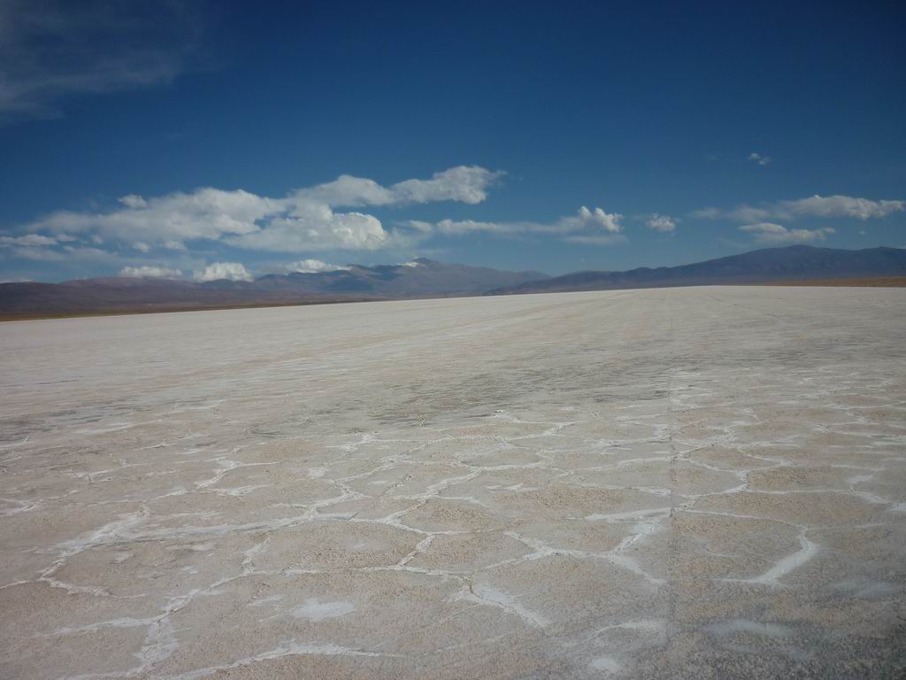 argentine_878.jpg