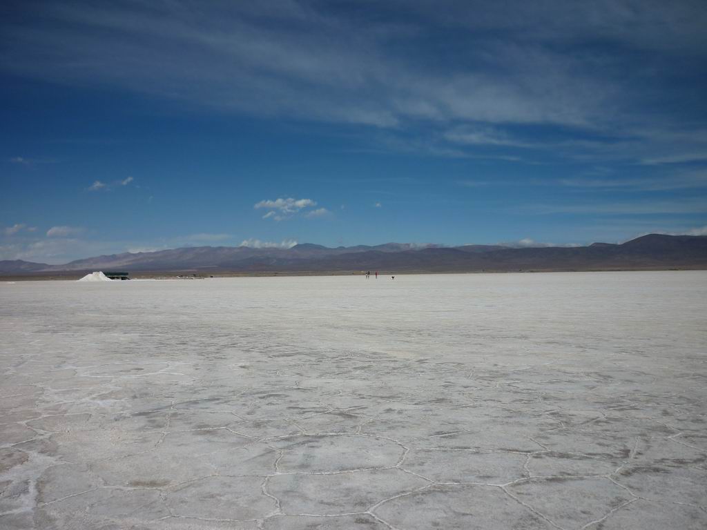 argentine_880.jpg