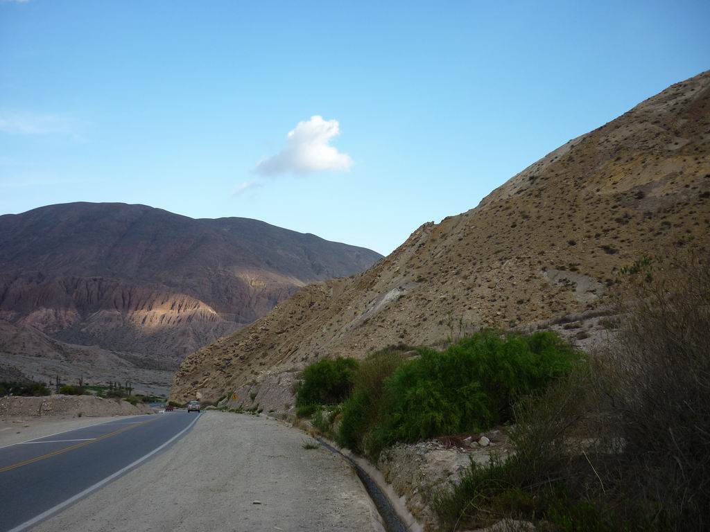 argentine_890.jpg