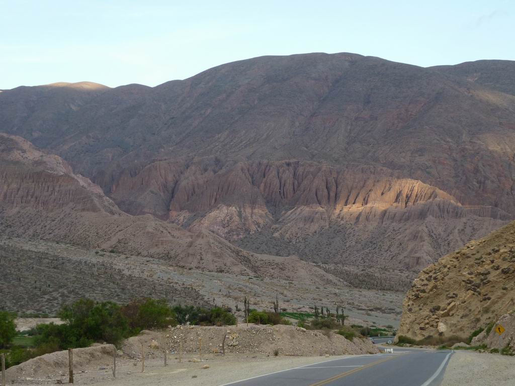 argentine_891.jpg