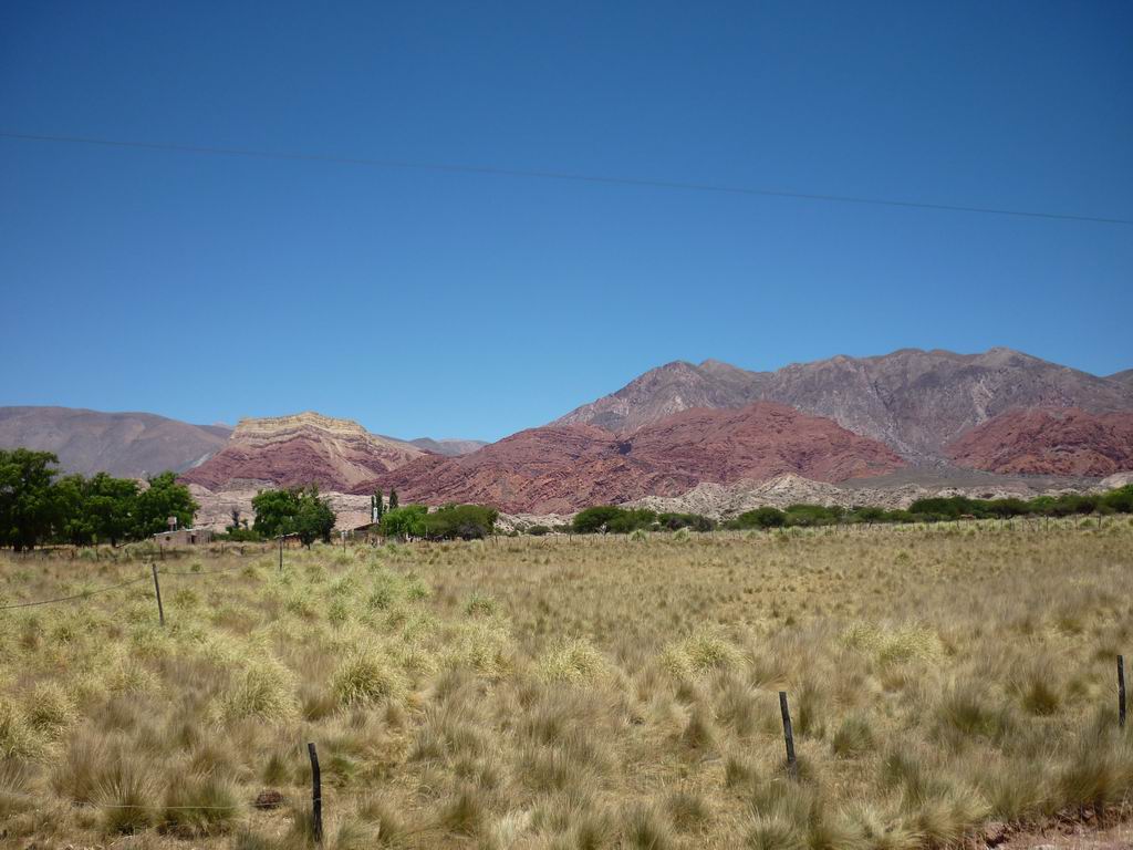 argentine_932.jpg