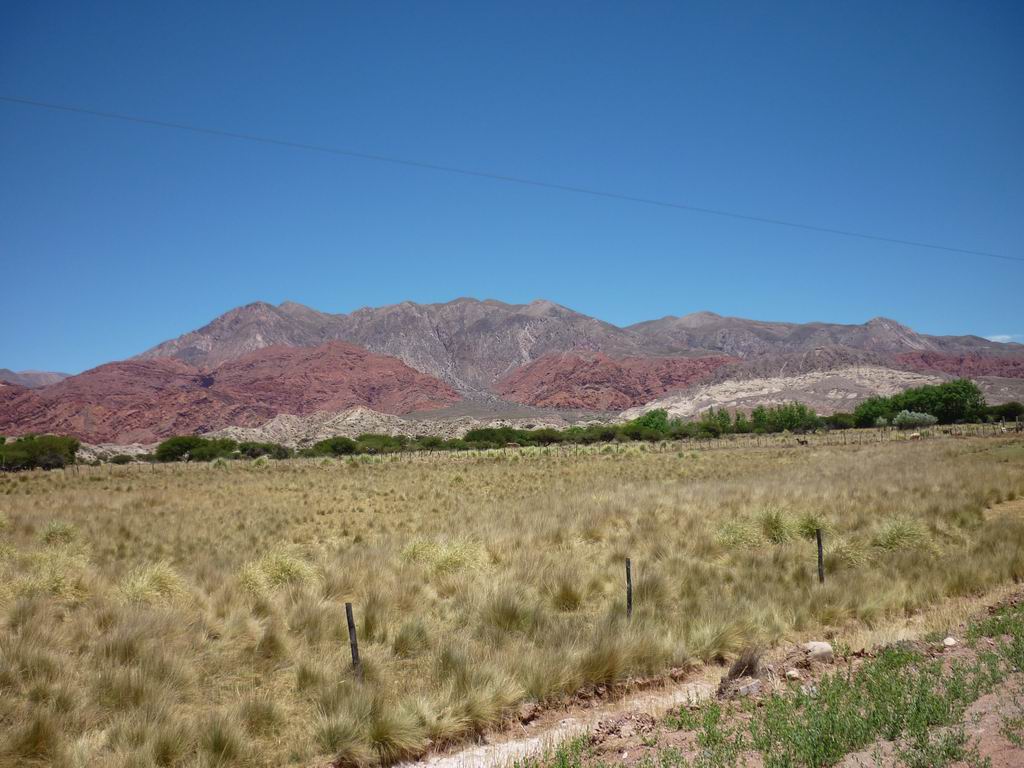 argentine_933.jpg