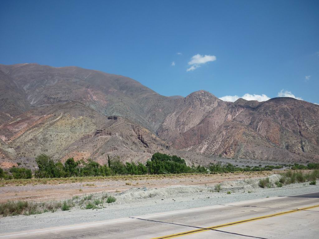 argentine_943.jpg
