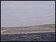 argentine_278.jpg