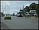 argentine_394.jpg