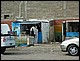 argentine_395.jpg