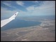 argentine_431.jpg