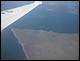 argentine_435.jpg