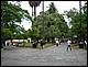 argentine_462.jpg