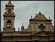 argentine_470.jpg