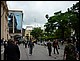 argentine_478.jpg