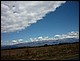 argentine_493.jpg