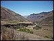 argentine_770.jpg