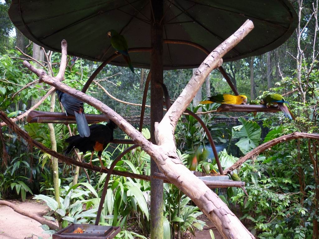 bresil_0211.jpg