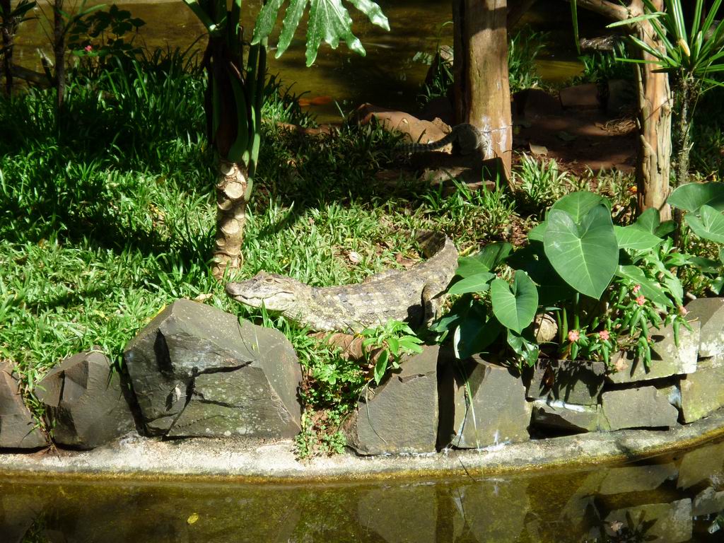 bresil_0234.jpg