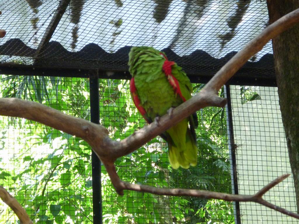 bresil_0239.jpg