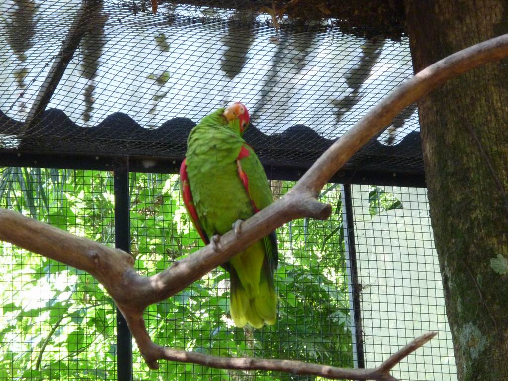 bresil_0240.jpg