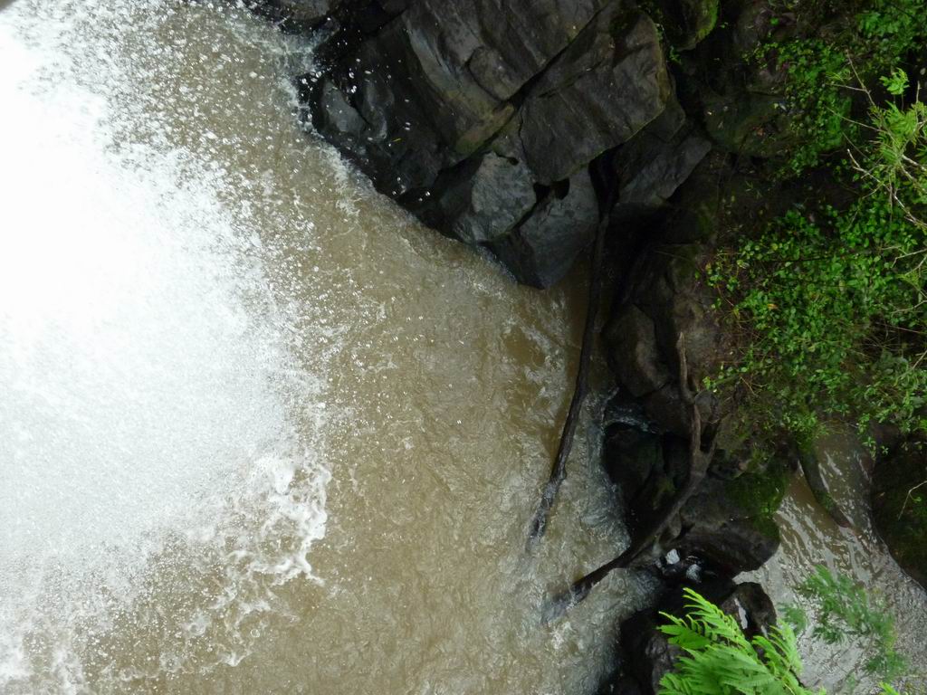 bresil_0288.jpg