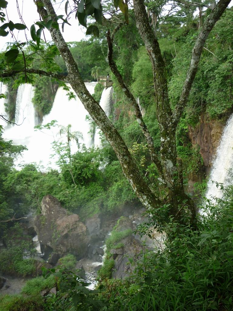 bresil_0289.jpg