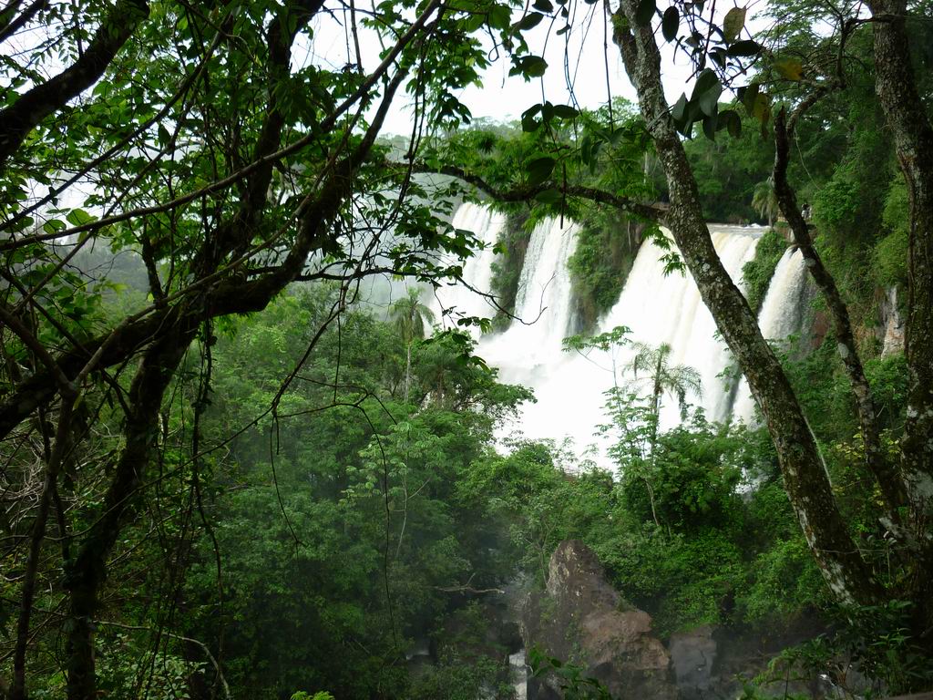 bresil_0290.jpg