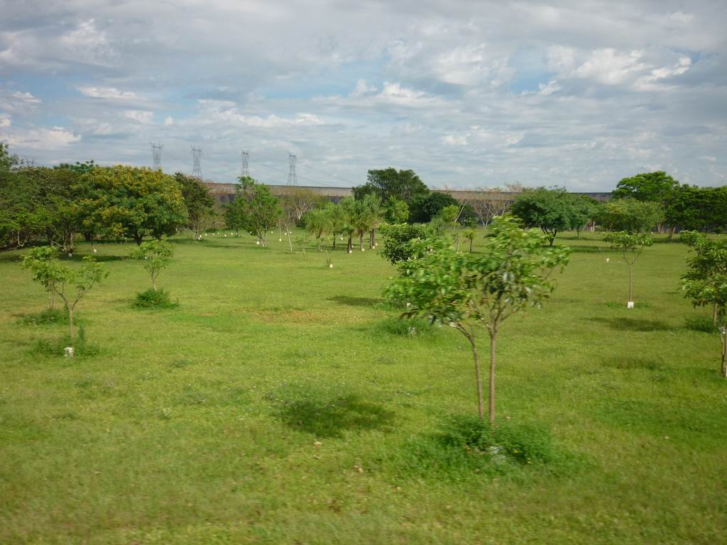 bresil_0388.jpg