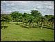 bresil_0387.jpg