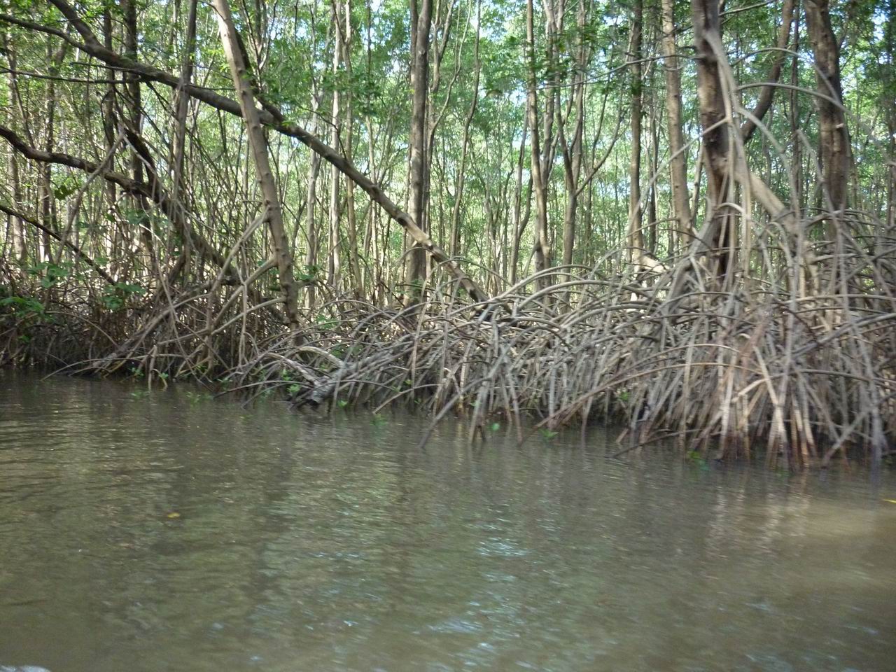 bresil_234.jpg