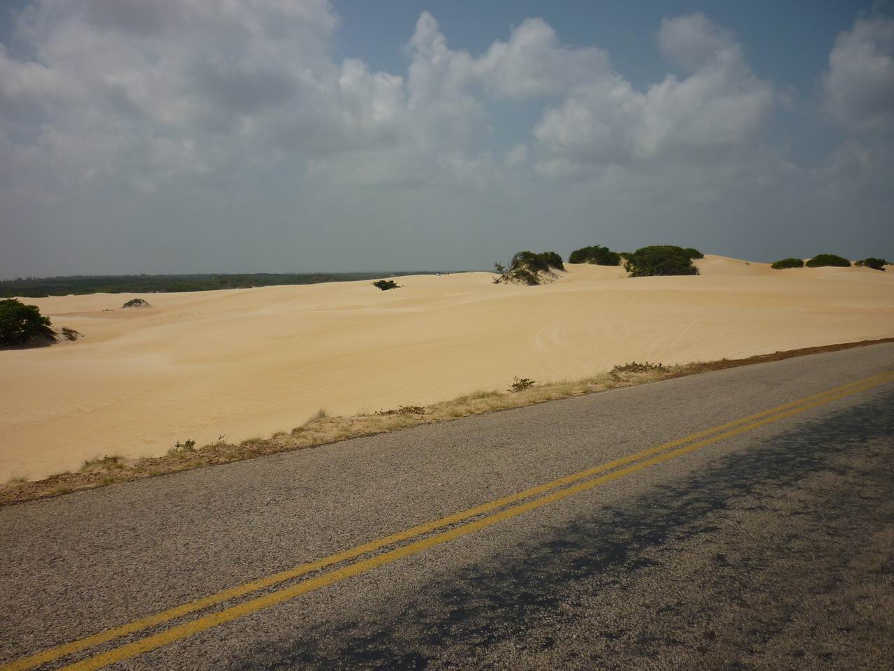 bresil_300.jpg