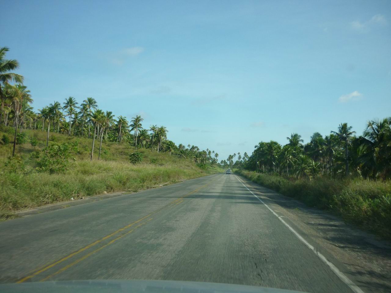 bresil_448.jpg