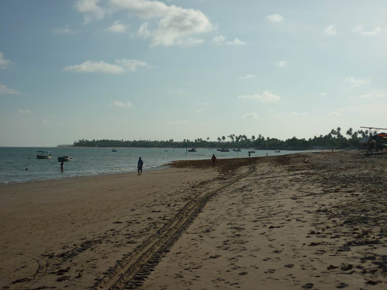 bresil_450.jpg