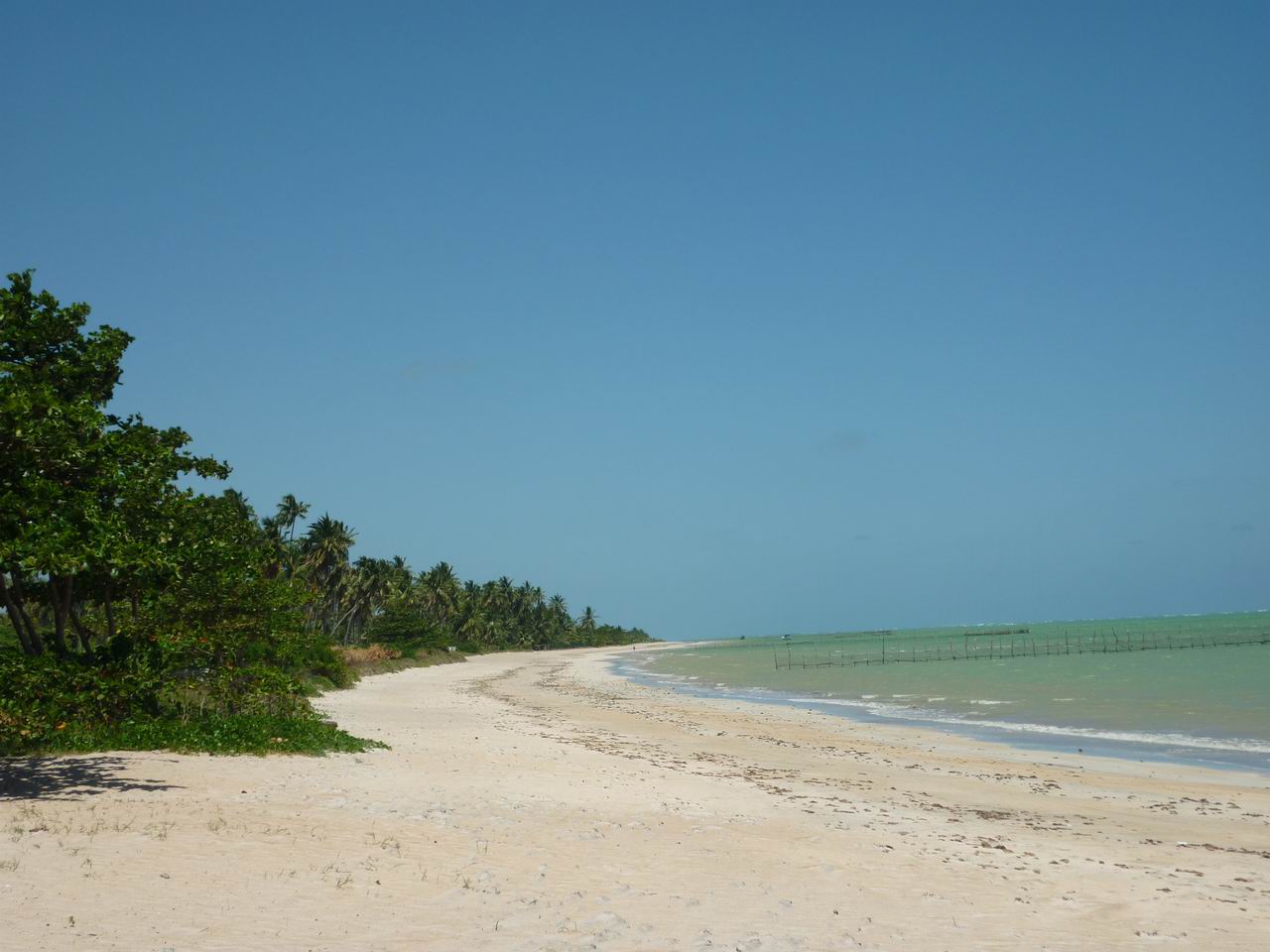 bresil_488.jpg