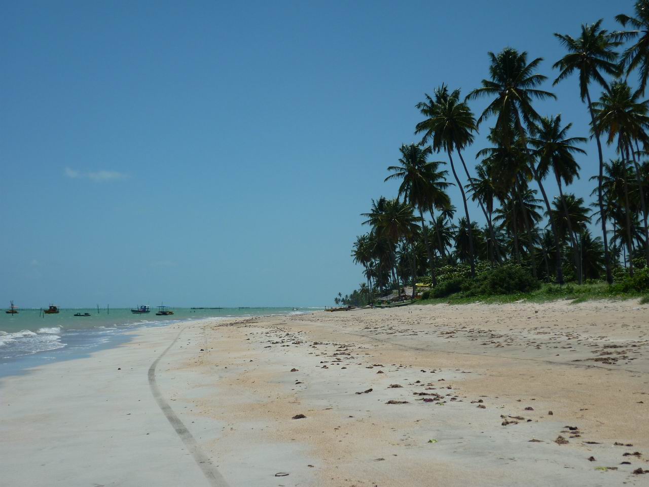 bresil_489.jpg