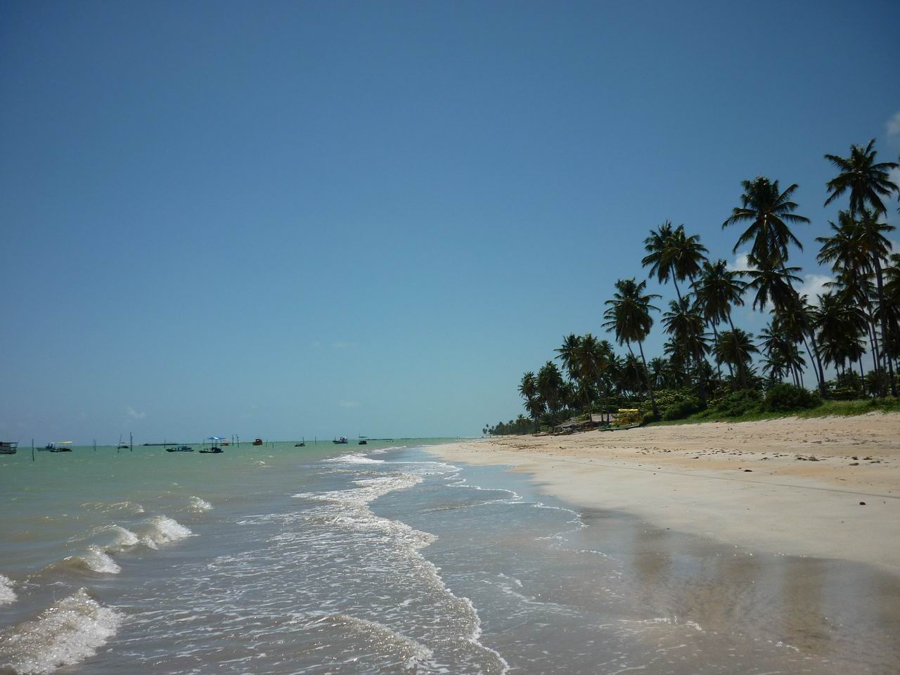 bresil_490.jpg