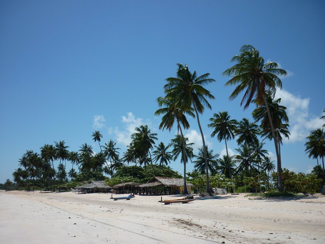 bresil_495.jpg