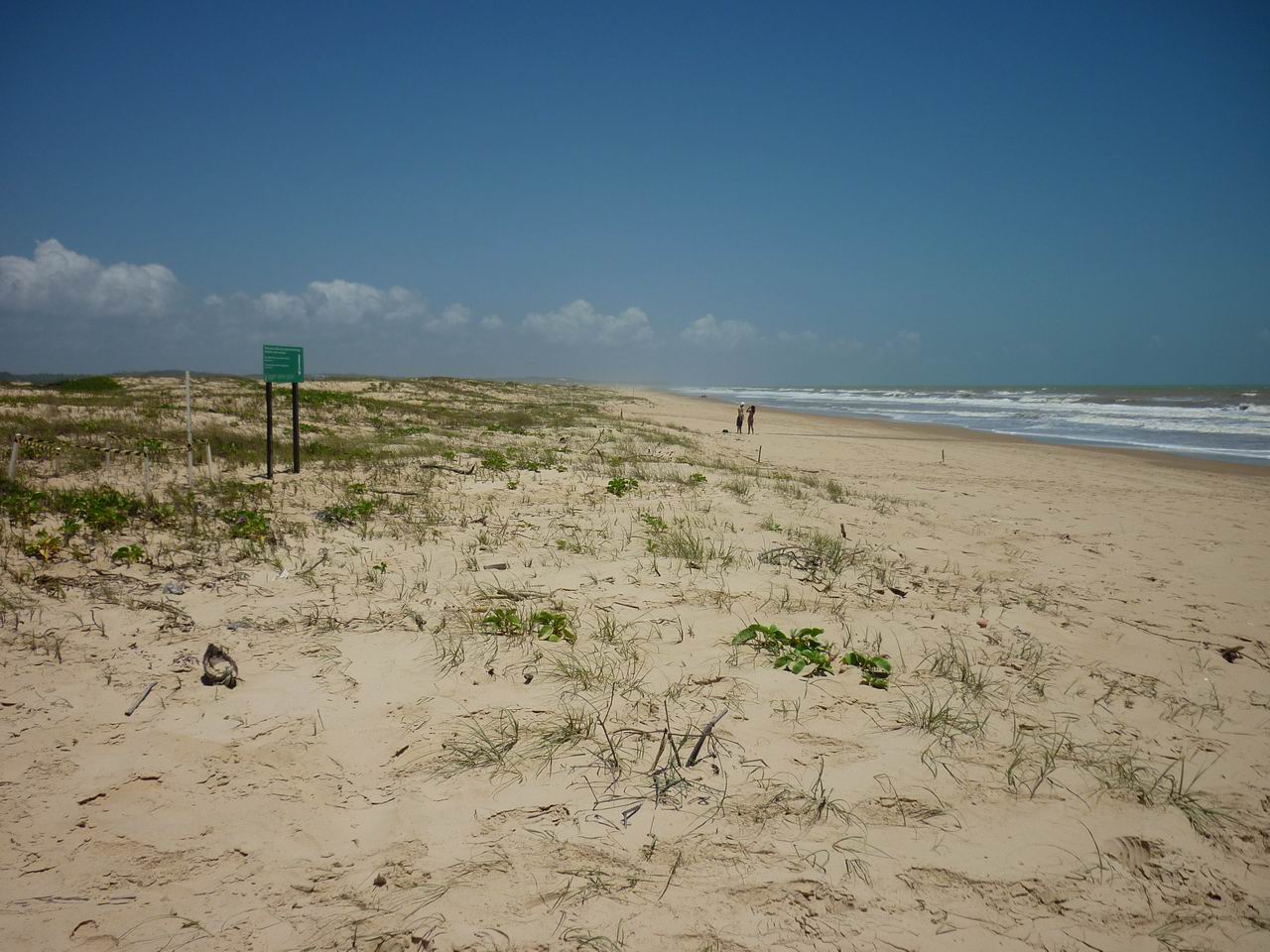 bresil_570.jpg