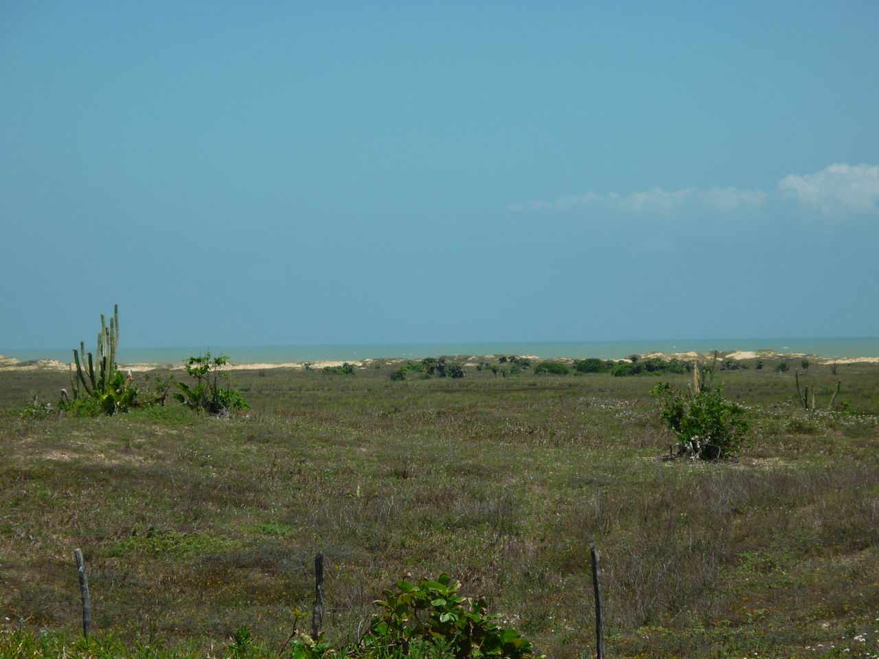 bresil_576.jpg