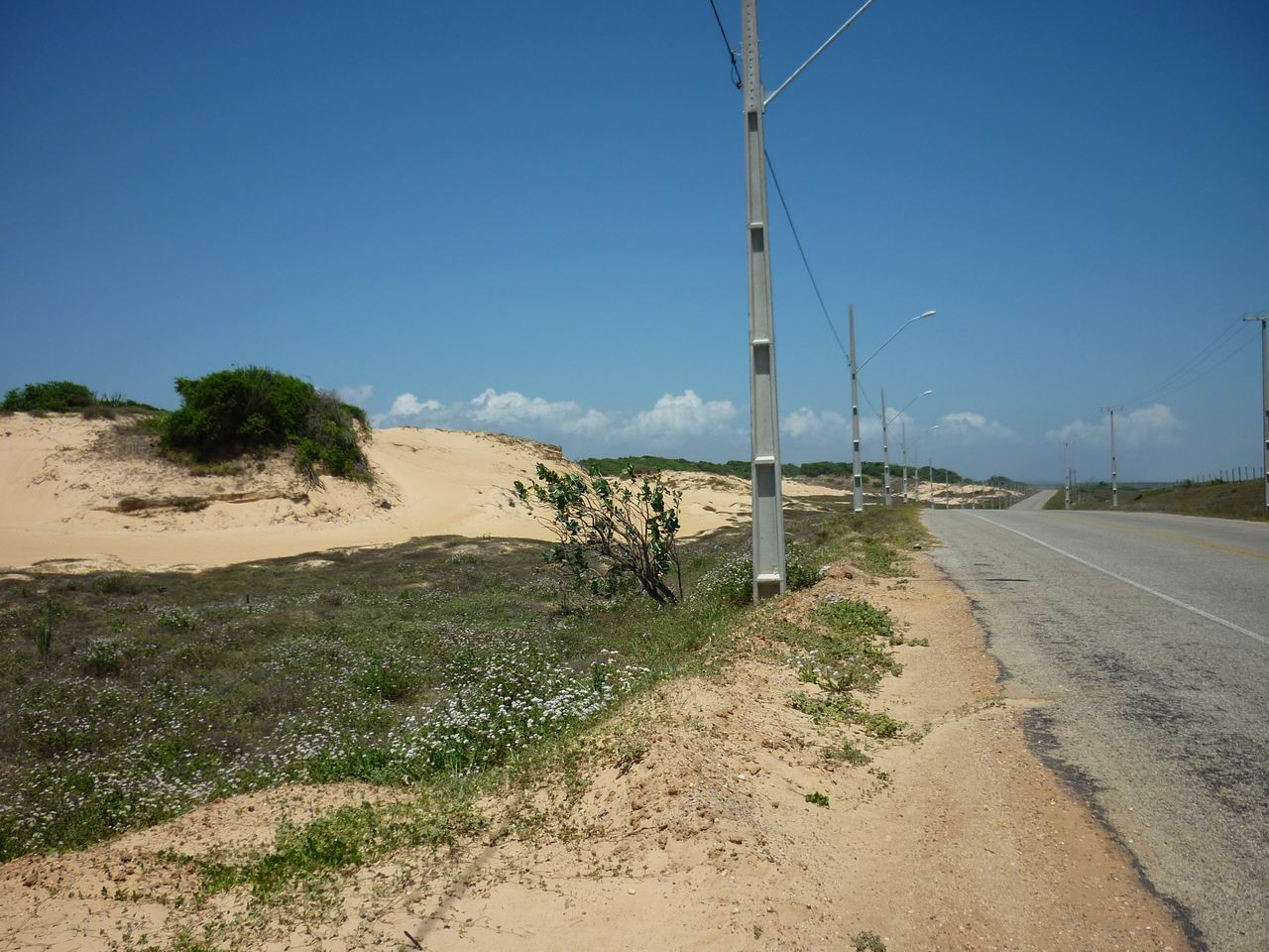 bresil_580.jpg