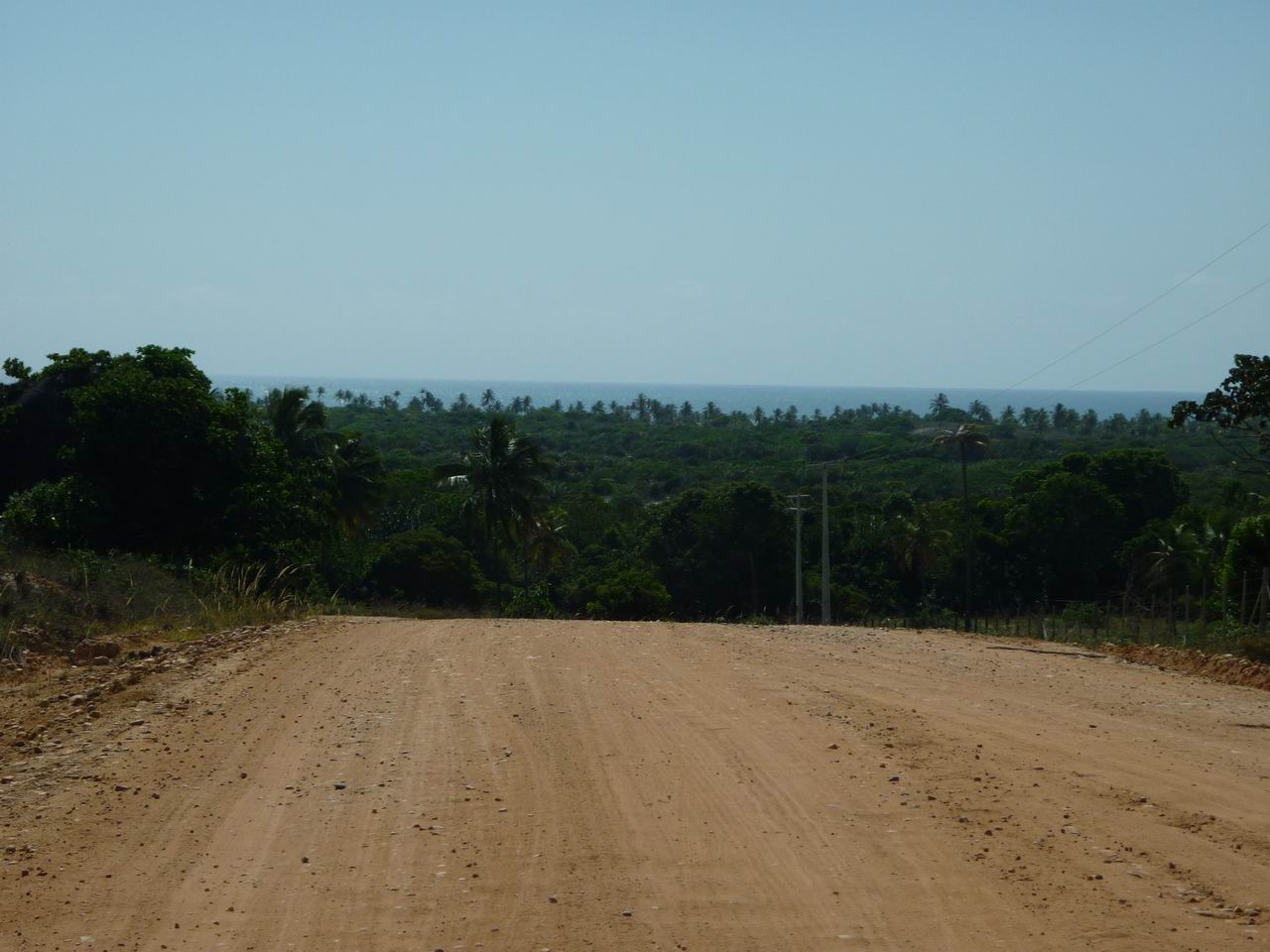 bresil_590.jpg