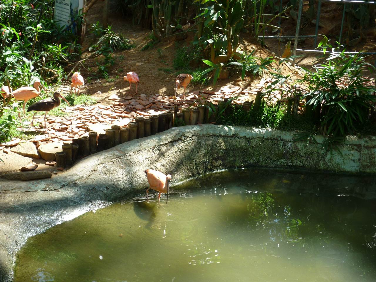 bresil_635.jpg