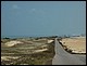 bresil_304.jpg