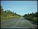 bresil_448.jpg