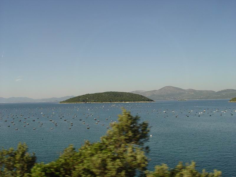 photo252_croatie_presqu_ile_de_peljesac.jpg