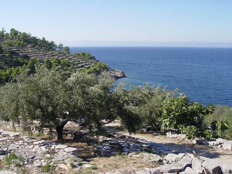 photo321_croatie_korcula.jpg