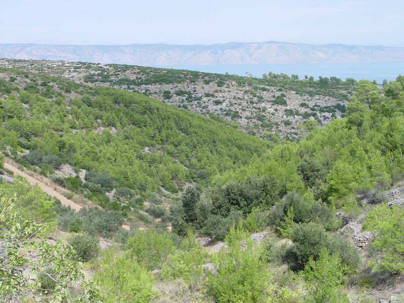 photo596_croatie_hvar.jpg