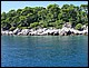 photo113_croatie_lokrum.jpg